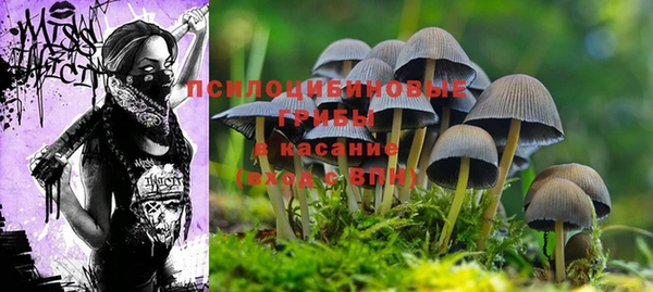 гидра Балабаново